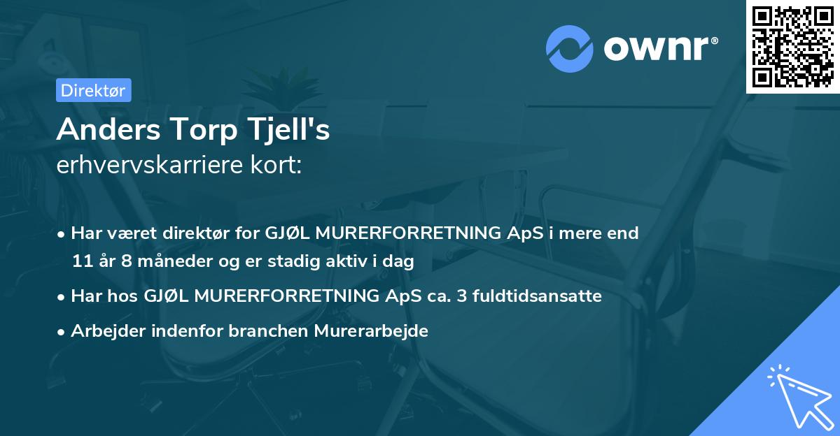 Anders Torp Tjell's erhvervskarriere kort