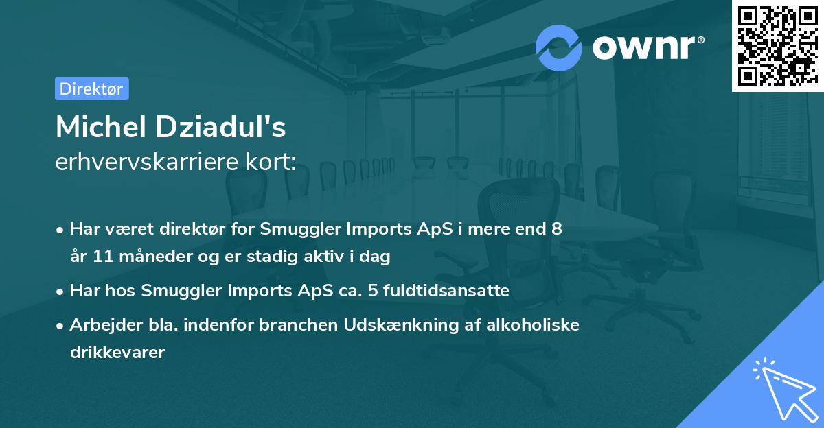 Michel Dziadul's erhvervskarriere kort