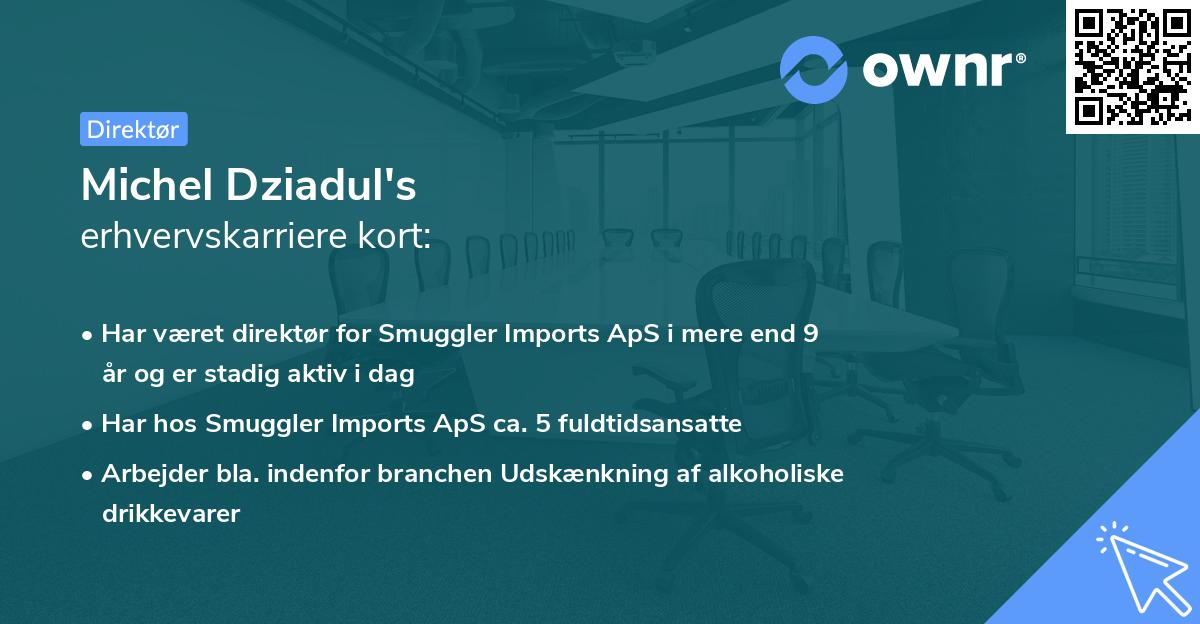 Michel Dziadul's erhvervskarriere kort