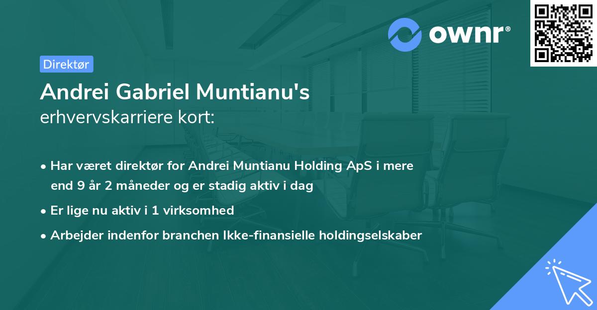 Andrei Gabriel Muntianu's erhvervskarriere kort