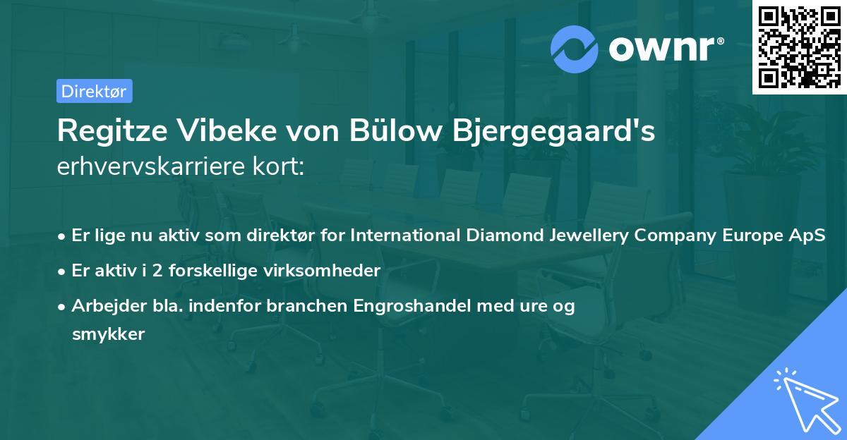 Regitze Vibeke von Bülow Bjergegaard's erhvervskarriere kort