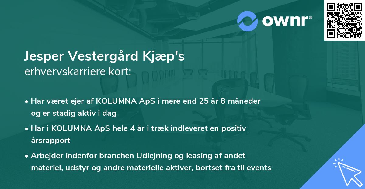 Jesper Vestergård Kjæp's erhvervskarriere kort