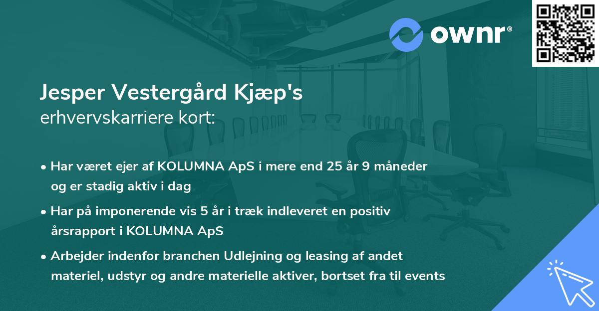 Jesper Vestergård Kjæp's erhvervskarriere kort