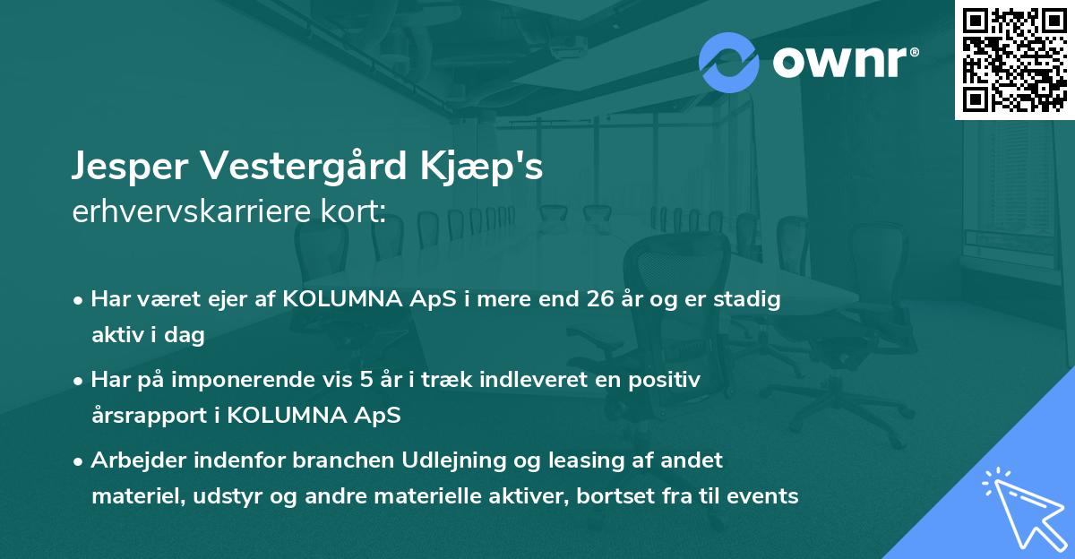 Jesper Vestergård Kjæp's erhvervskarriere kort