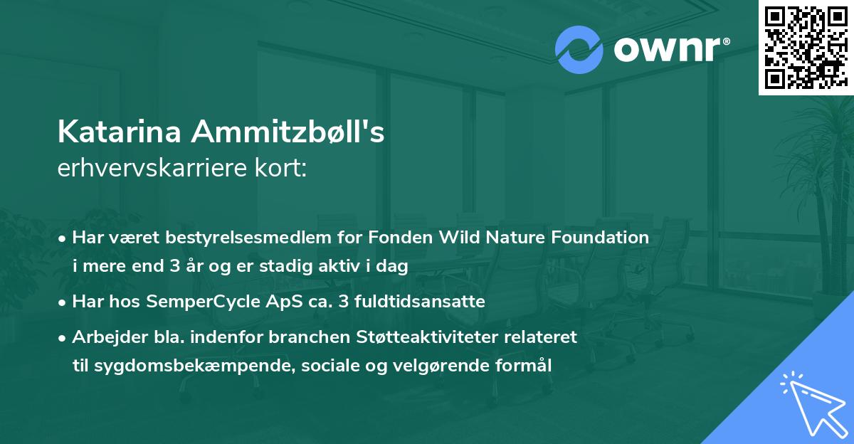 Katarina Ammitzbøll's erhvervskarriere kort