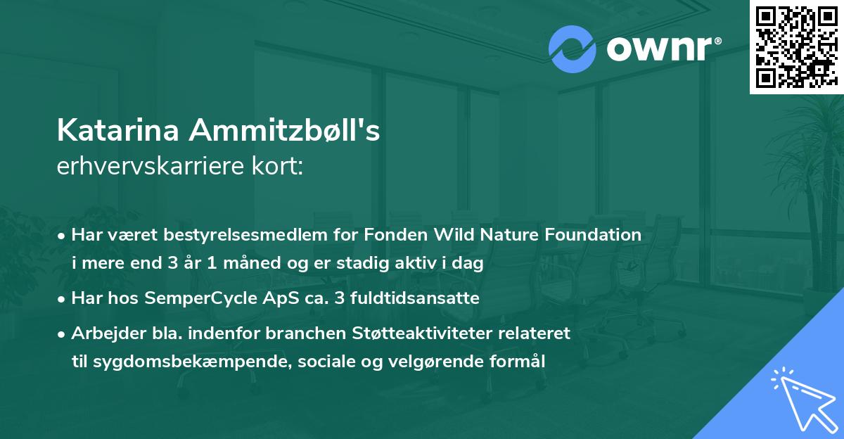 Katarina Ammitzbøll's erhvervskarriere kort