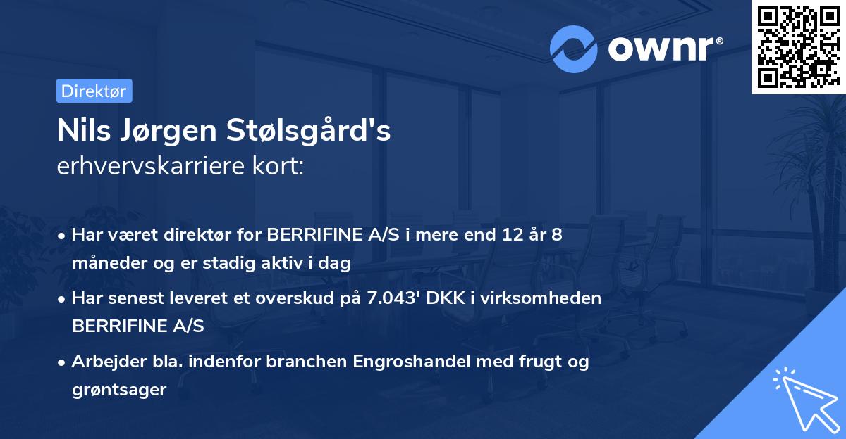 Nils Jørgen Stølsgård's erhvervskarriere kort