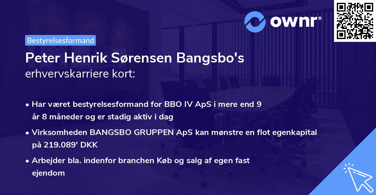 Peter Henrik Sørensen Bangsbo's erhvervskarriere kort