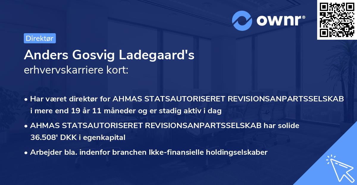 Anders Gosvig Ladegaard's erhvervskarriere kort