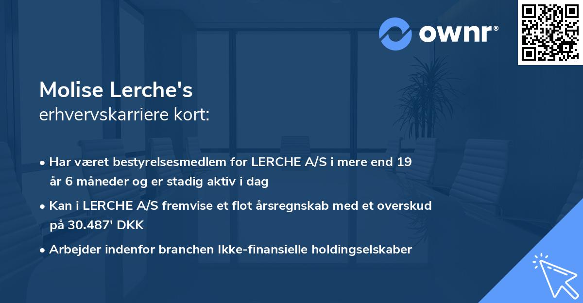 Molise Lerche's erhvervskarriere kort