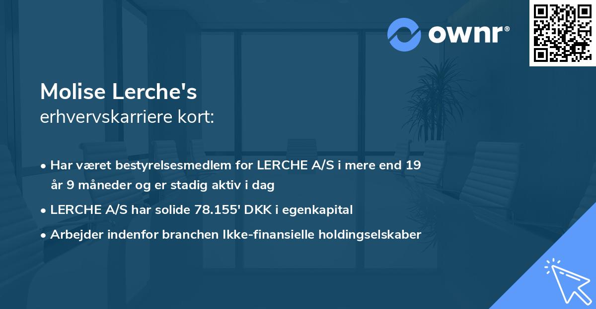Molise Lerche's erhvervskarriere kort