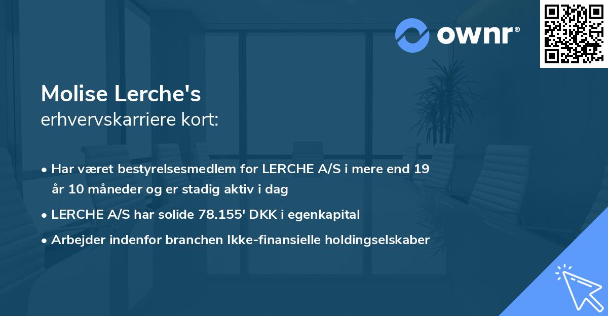 Molise Lerche's erhvervskarriere kort