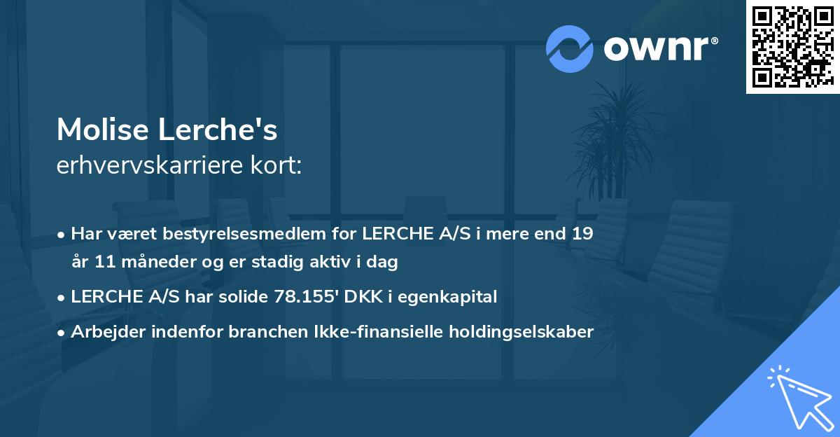 Molise Lerche's erhvervskarriere kort