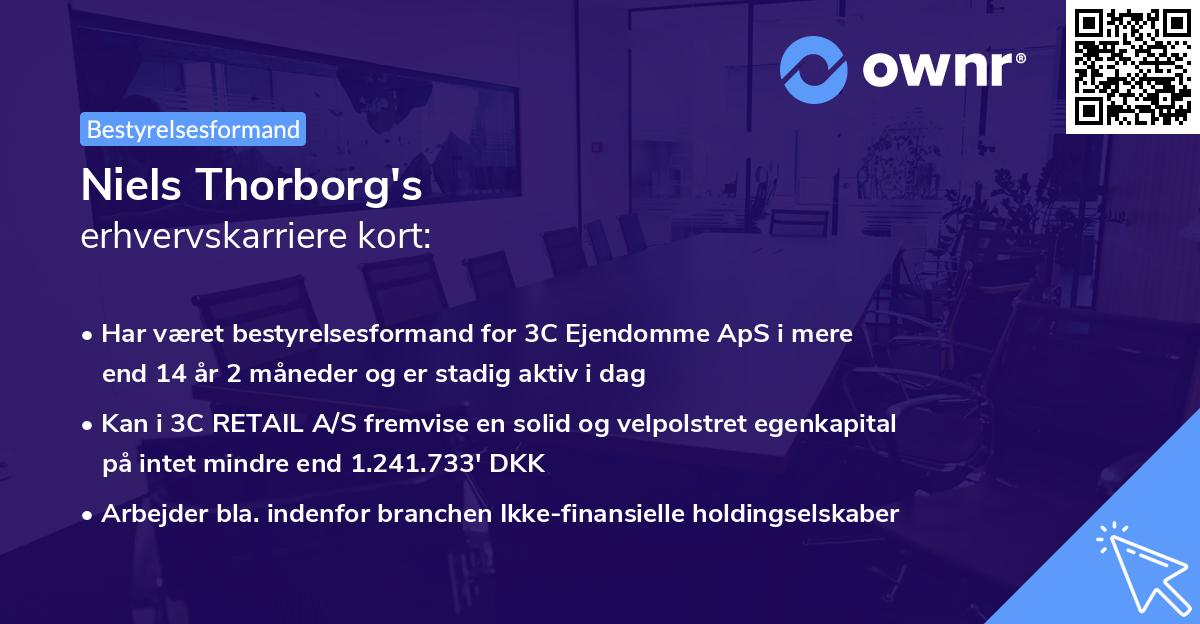 Niels Thorborg's erhvervskarriere kort