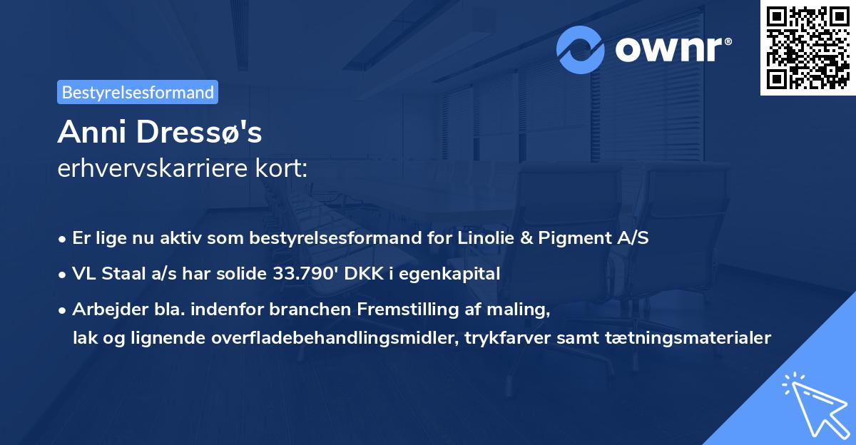 Anni Dressø's erhvervskarriere kort
