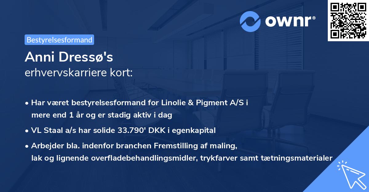 Anni Dressø's erhvervskarriere kort