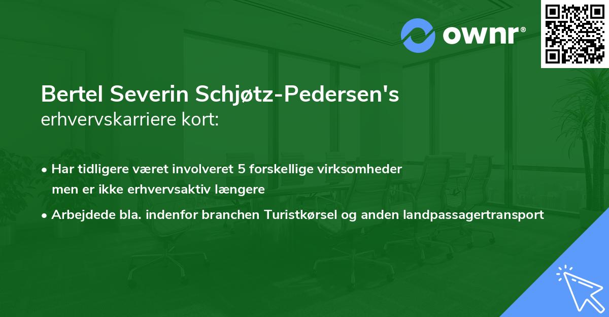Bertel Severin Schjøtz-Pedersen's erhvervskarriere kort