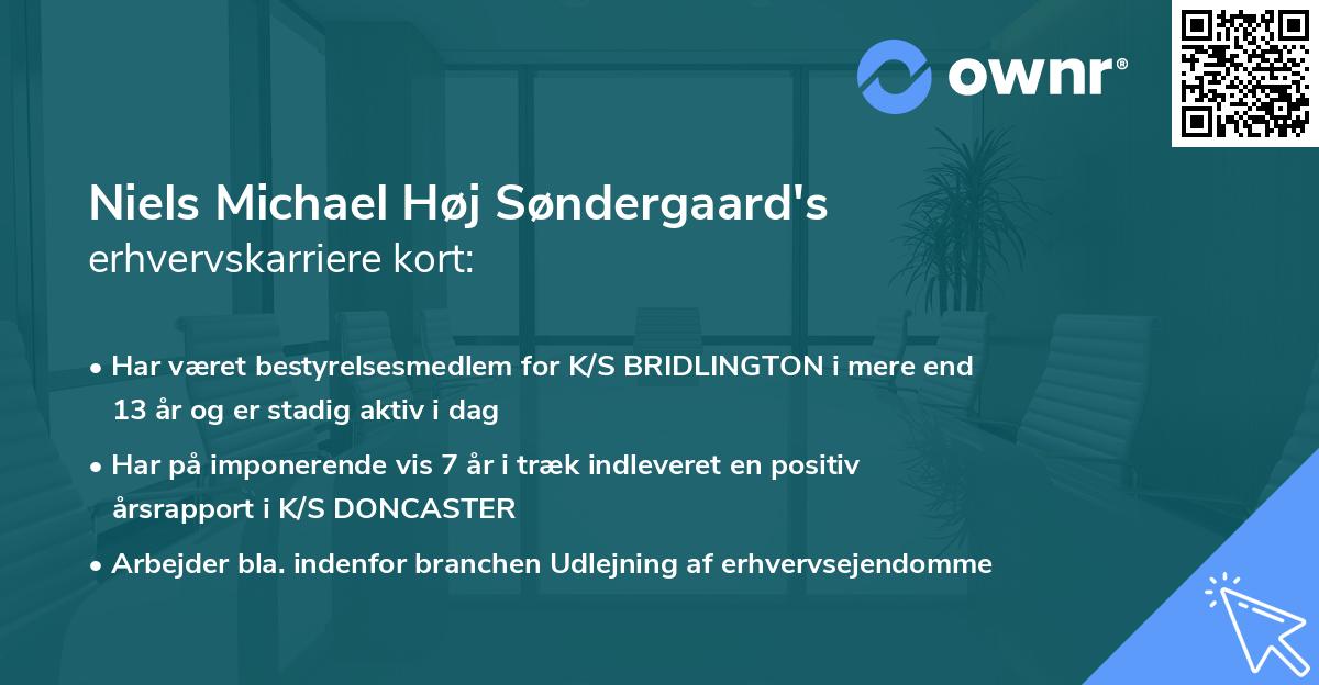 Niels Michael Høj Søndergaard's erhvervskarriere kort
