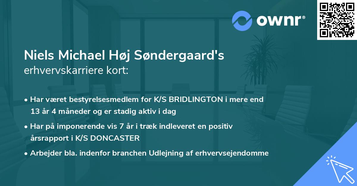 Niels Michael Høj Søndergaard's erhvervskarriere kort