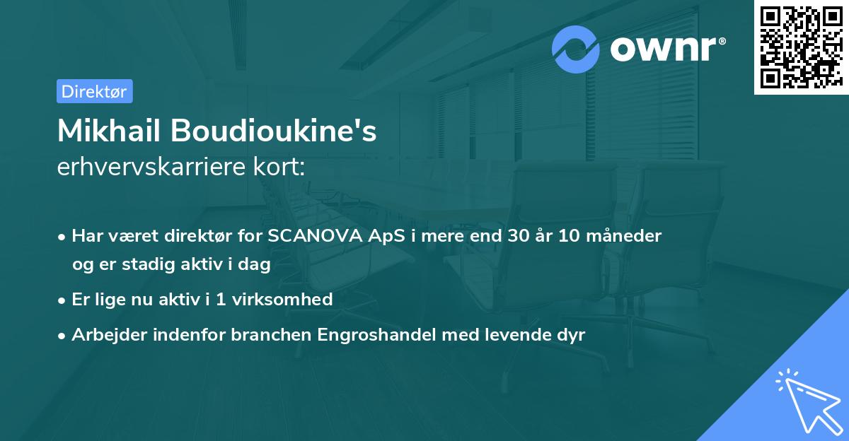 Mikhail Boudioukine's erhvervskarriere kort