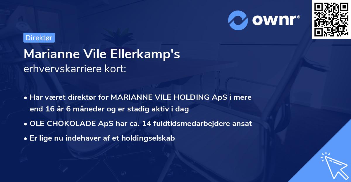 Marianne Vile Ellerkamp's erhvervskarriere kort