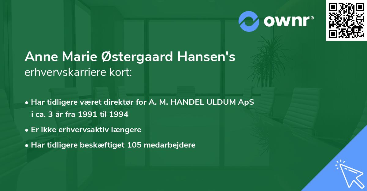 Anne Marie Østergaard Hansen's erhvervskarriere kort