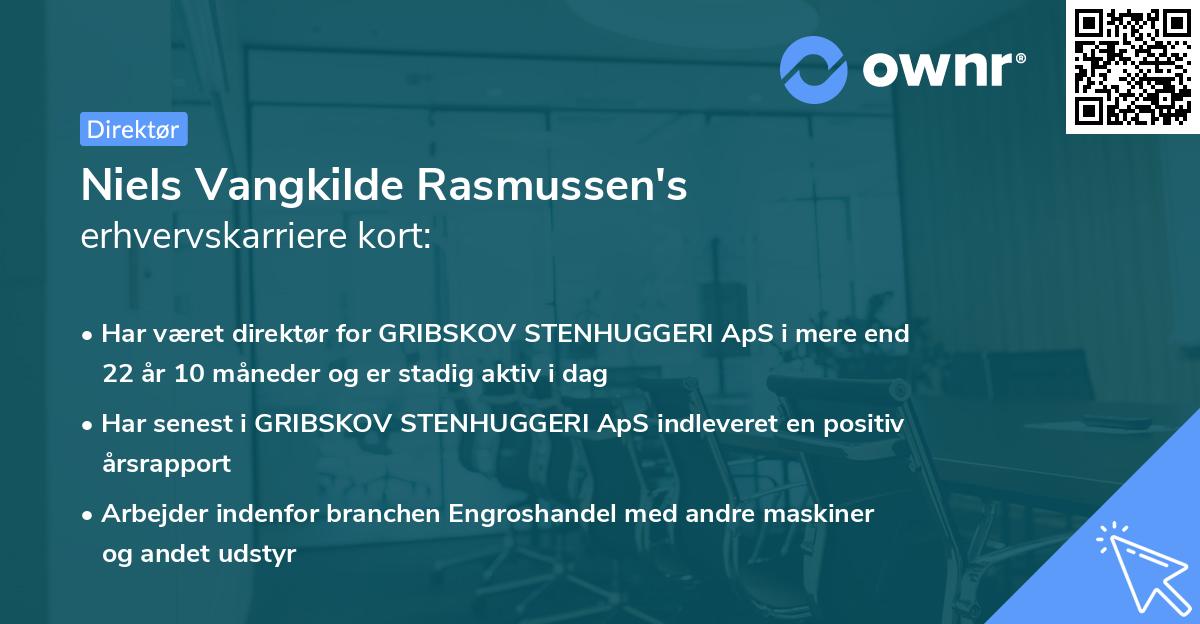 Niels Vangkilde Rasmussen's erhvervskarriere kort