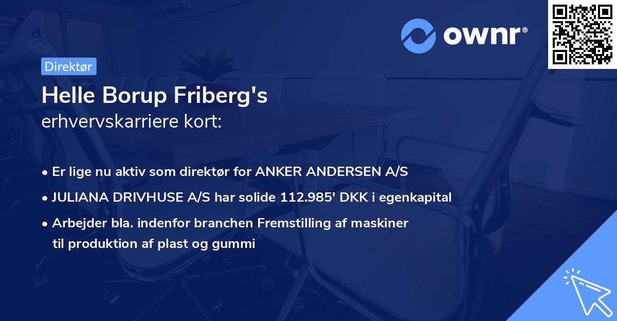 Helle Borup Friberg's erhvervskarriere kort