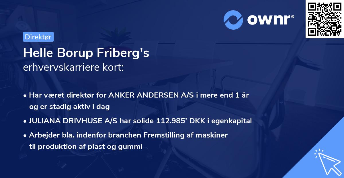 Helle Borup Friberg's erhvervskarriere kort