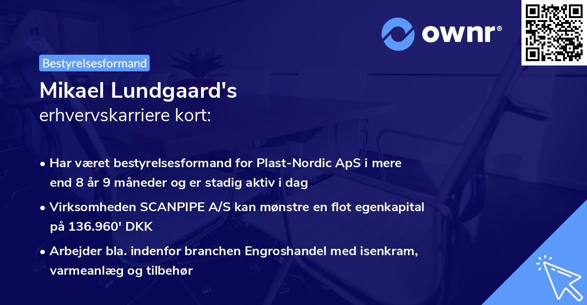 Mikael Lundgaard's erhvervskarriere kort