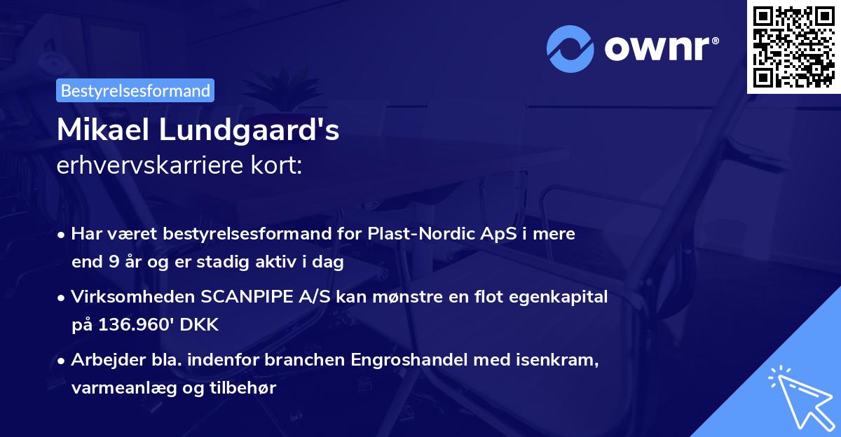 Mikael Lundgaard's erhvervskarriere kort