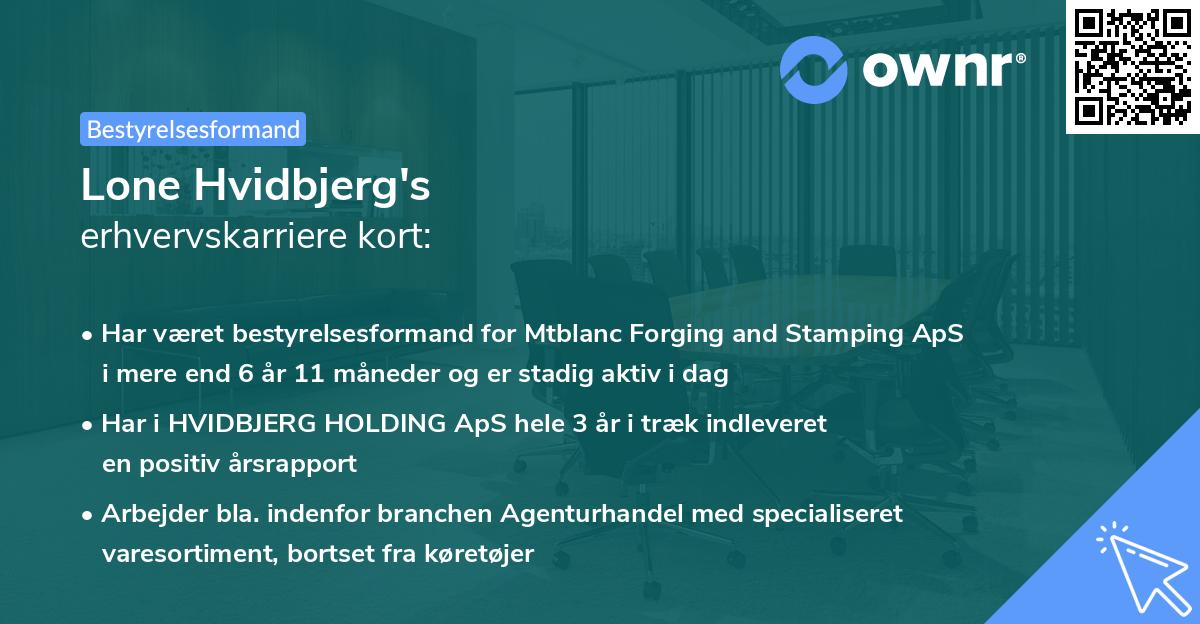 Lone Hvidbjerg's erhvervskarriere kort