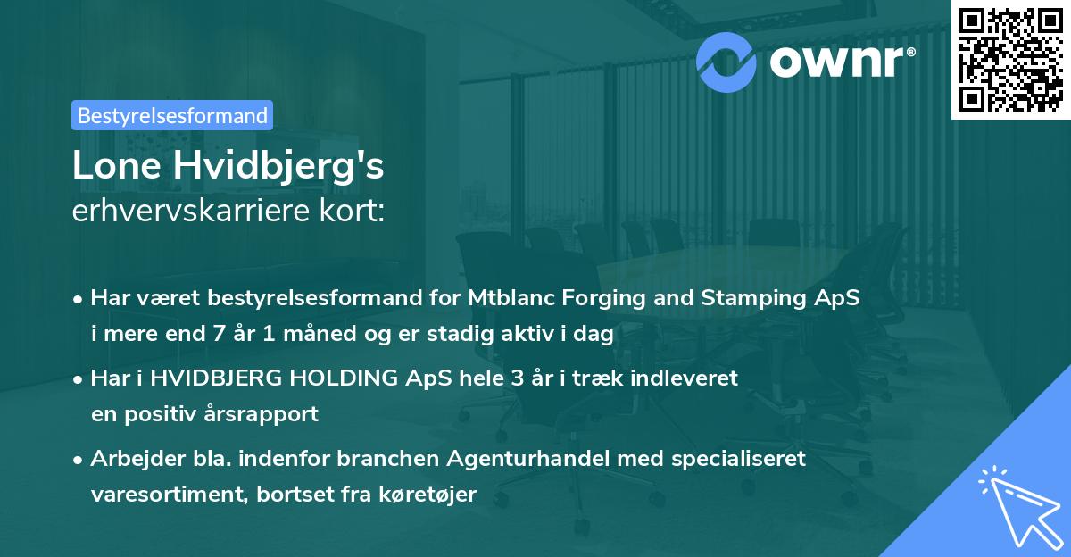 Lone Hvidbjerg's erhvervskarriere kort