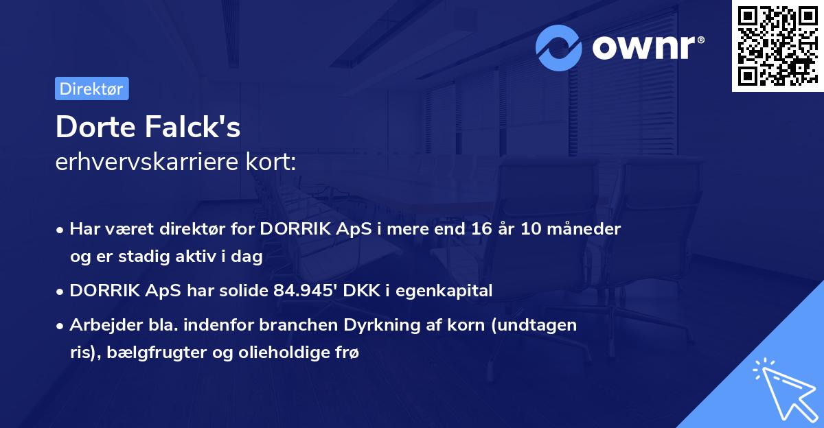 Dorte Falck's erhvervskarriere kort