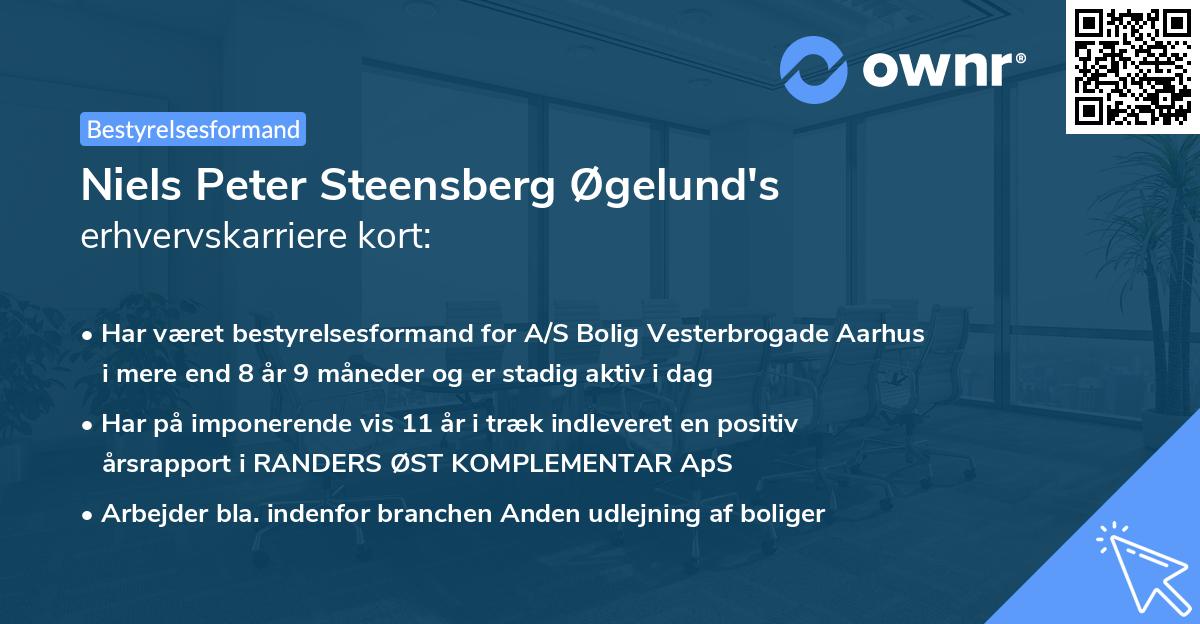 Niels Peter Steensberg Øgelund's erhvervskarriere kort