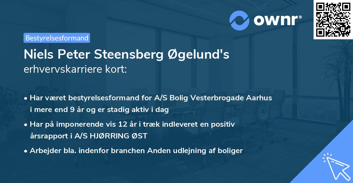 Niels Peter Steensberg Øgelund's erhvervskarriere kort