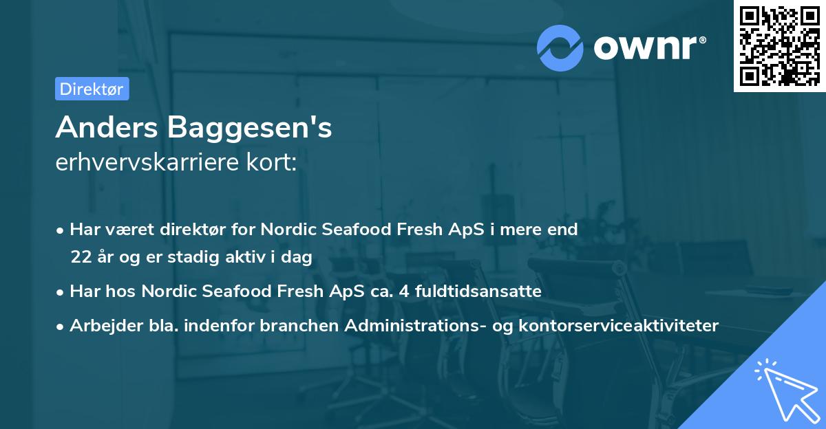 Anders Baggesen's erhvervskarriere kort