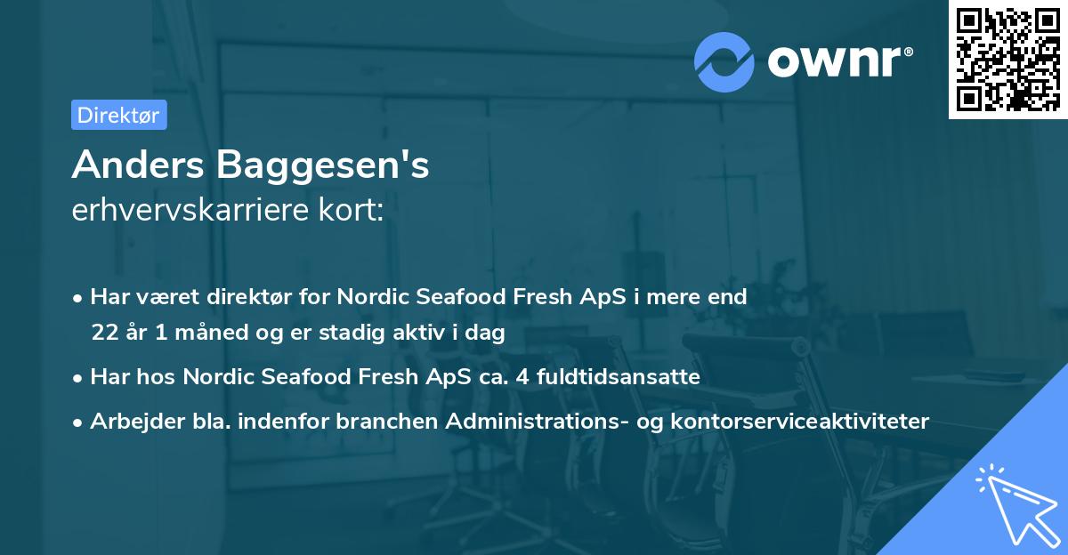 Anders Baggesen's erhvervskarriere kort