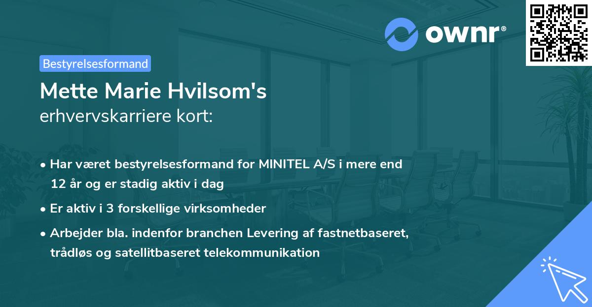 Mette Marie Hvilsom's erhvervskarriere kort