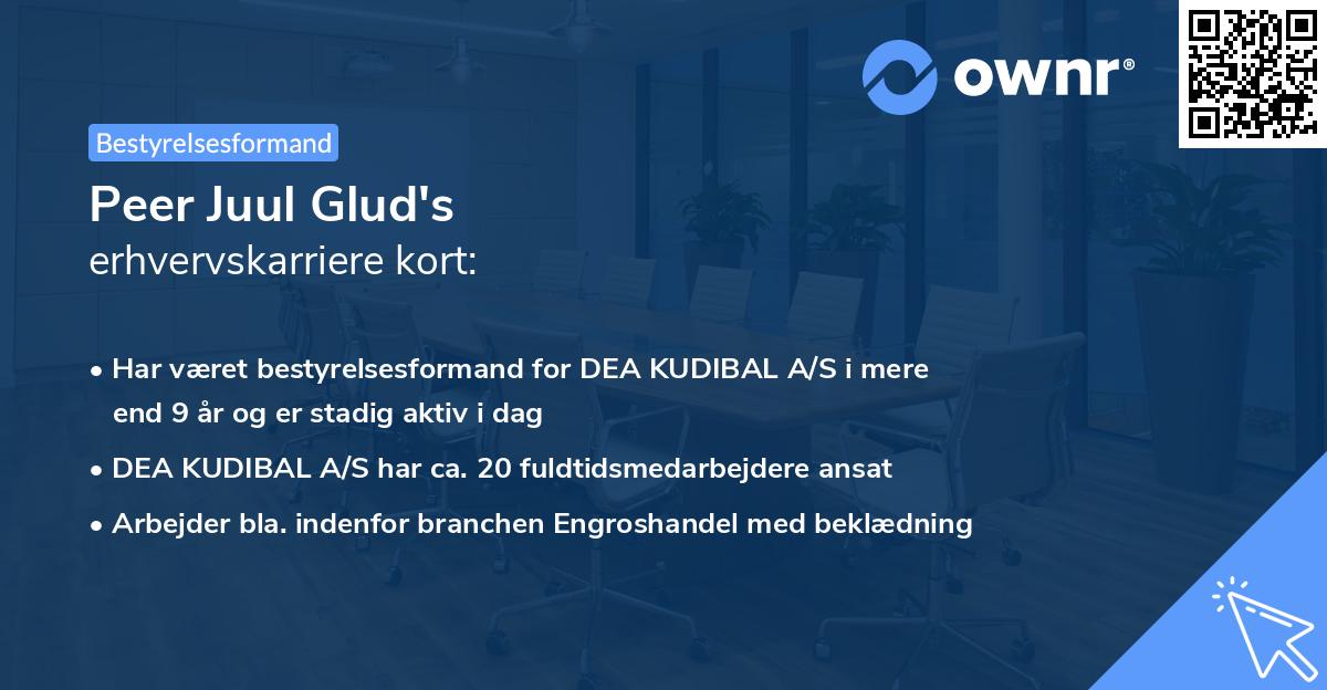 Peer Juul Glud's erhvervskarriere kort