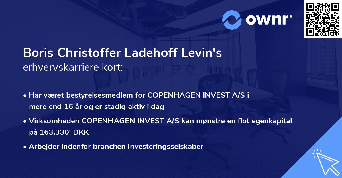 Boris Christoffer Ladehoff Levin's erhvervskarriere kort