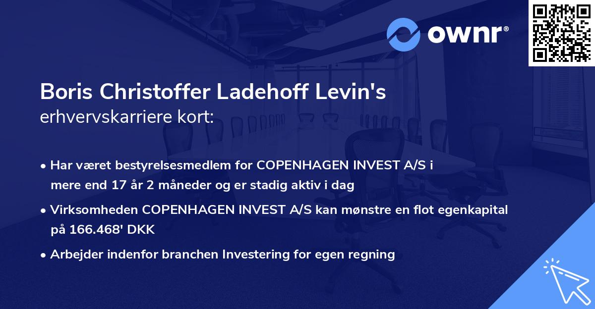 Boris Christoffer Ladehoff Levin's erhvervskarriere kort