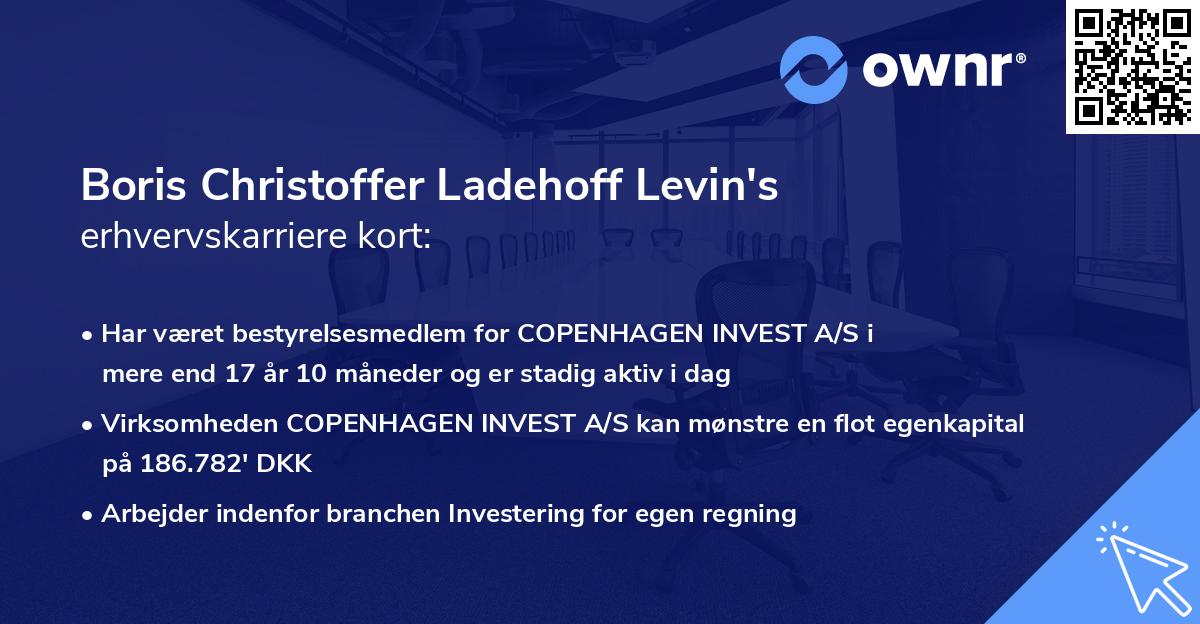 Boris Christoffer Ladehoff Levin's erhvervskarriere kort