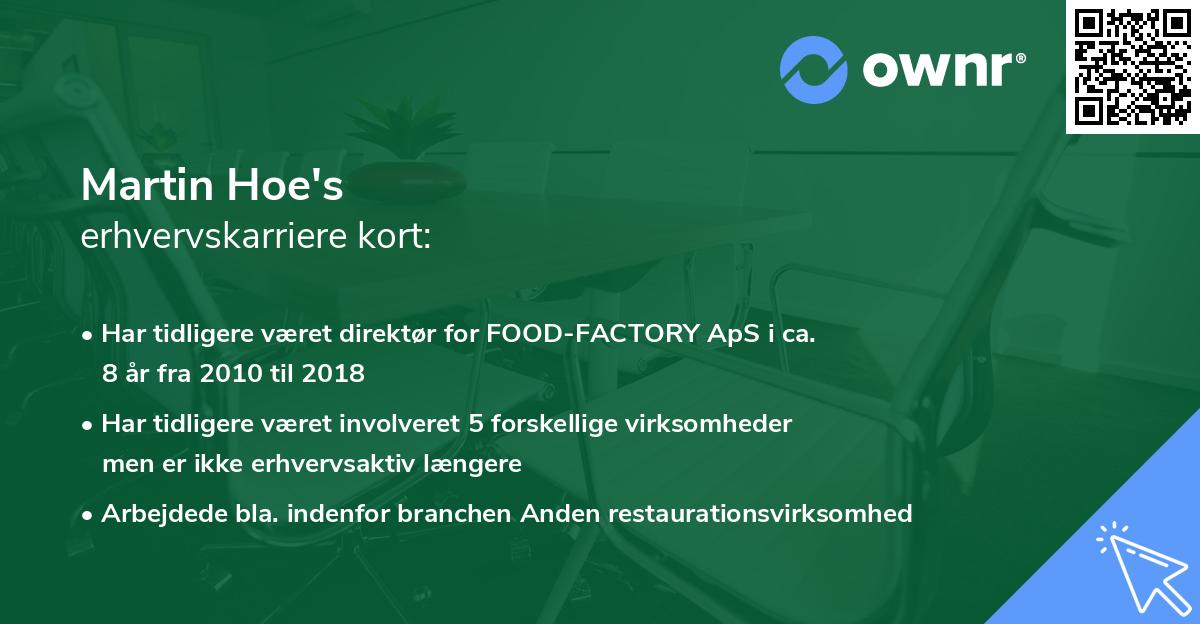 Martin Hoe's erhvervskarriere kort