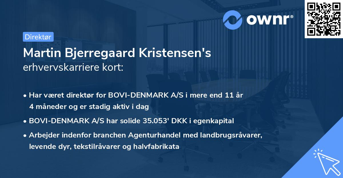 Martin Bjerregaard Kristensen's erhvervskarriere kort