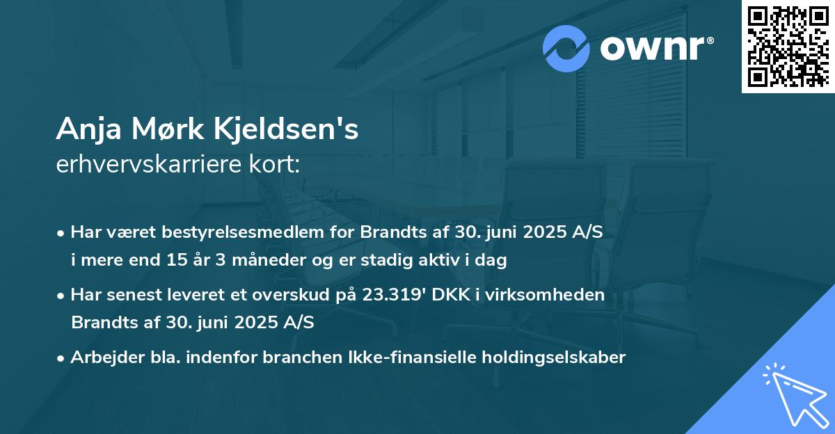 Anja Mørk Kjeldsen's erhvervskarriere kort