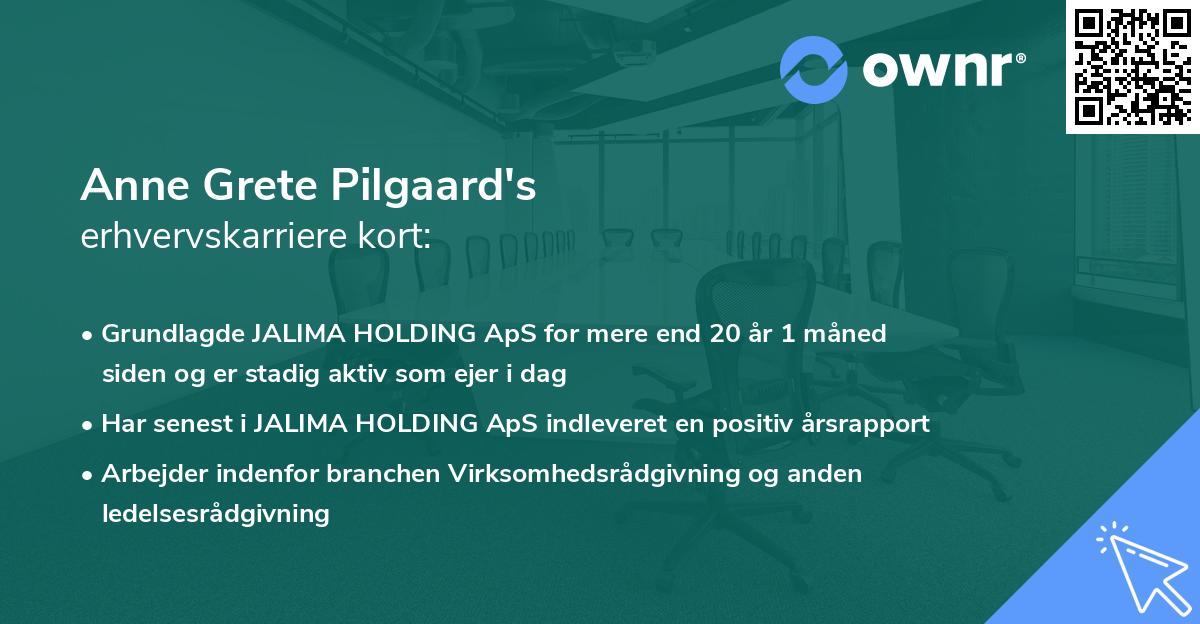 Anne Grete Pilgaard's erhvervskarriere kort
