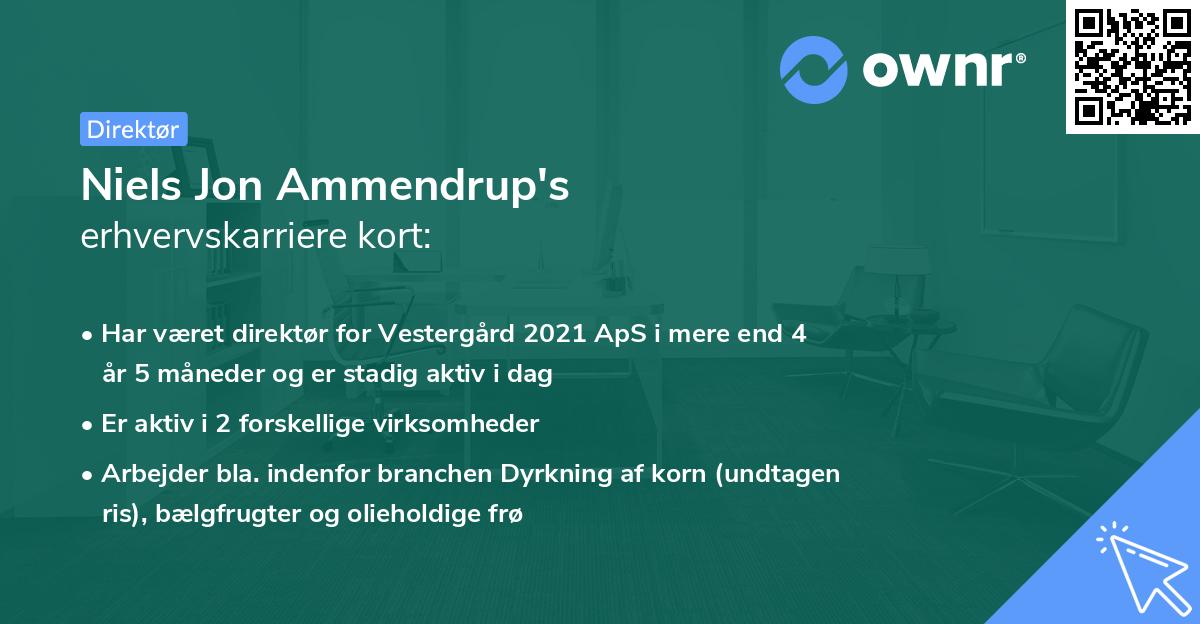 Niels Jon Ammendrup's erhvervskarriere kort