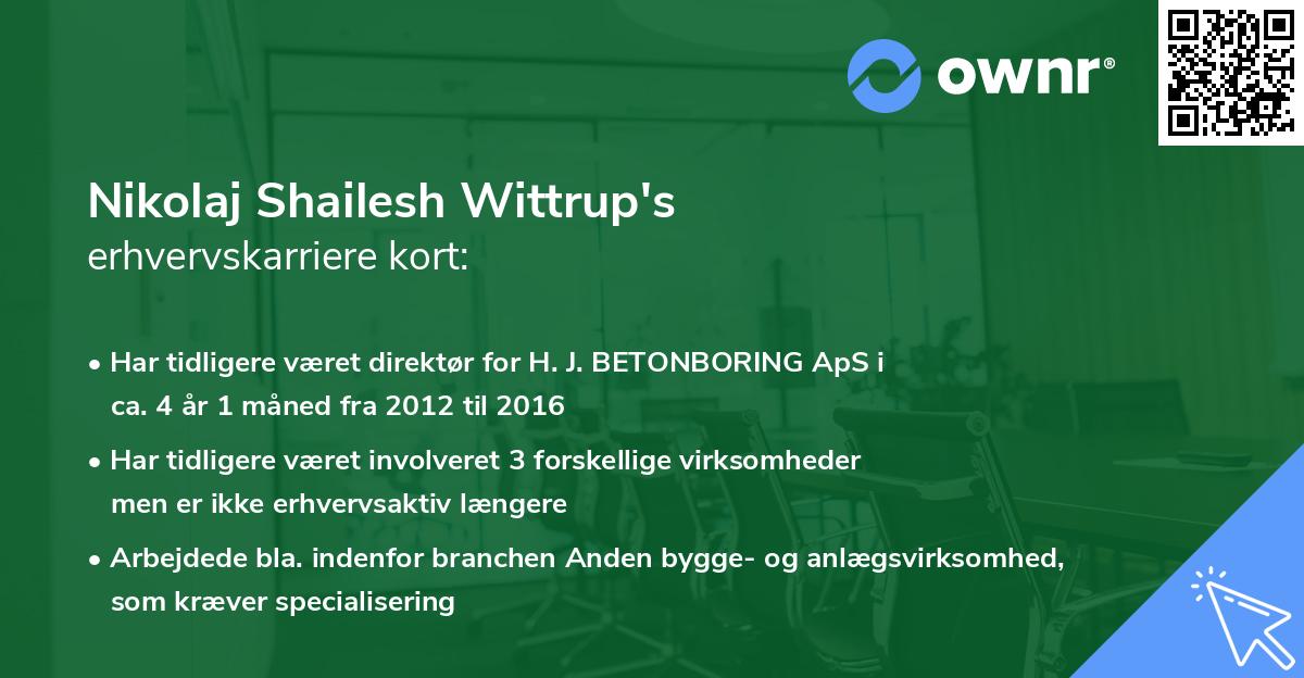 Nikolaj Shailesh Wittrup's erhvervskarriere kort