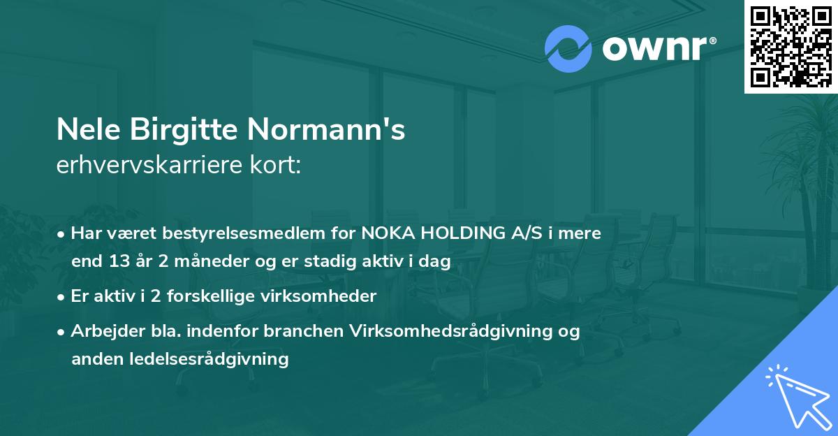 Nele Birgitte Normann's erhvervskarriere kort